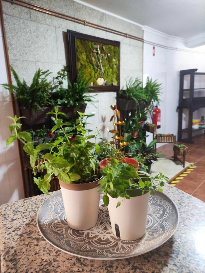 Hotel Zimao Garden House Vila Pouca de Aguiar Zewnętrze zdjęcie